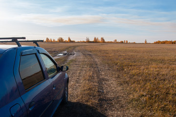 Fototapeta na wymiar dirt road for driving a car across the field