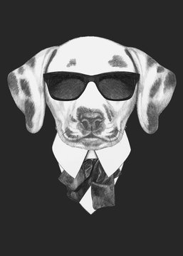 Portrait of Dalmatian in suit. Hand-drawn illustration. Vector isolated elements.	