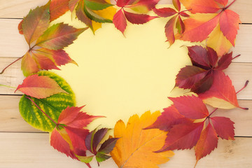 Naklejka na ściany i meble Leaves of different colors laid out on a wooden background. Yellow background with blank space and around autumn leaves top view.