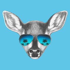 Portrait of Fawn with sunglasses. Hand-drawn illustration. Vector isolated elements.	