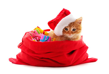 Kitten in a Christmas hat with a gifts.
