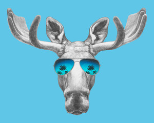 Portrait of Moose with sunglasses. Hand-drawn illustration. Vector isolated elements.	