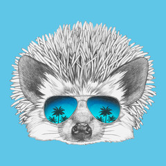 Portrait of Hedgehog  with sunglasses. Hand-drawn illustration. Vector isolated elements.	