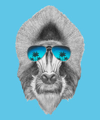 Portrait of Mandrill with sunglasses. Hand-drawn illustration. Vector isolated elements.	