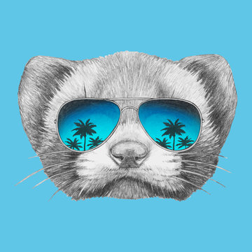 Portrait of Least Weasel with sunglasses. Hand-drawn illustration. Vector isolated elements.	