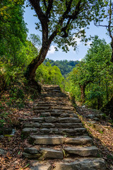 Obraz premium Hiking trail at the jungle, Lower Himalayan Range in Pokhara, Nepal