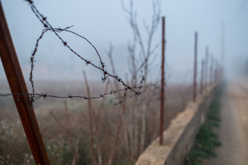  close-up of a barbed wire fence on a foggy day