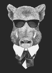 Portrait of Boar in suit. Hand-drawn illustration. Vector isolated elements.	