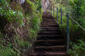 Obraz premium Hiking path in nature