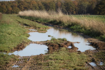 Flaque d'eau boueuse