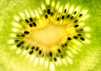 close up centered macro kiwi fruit
