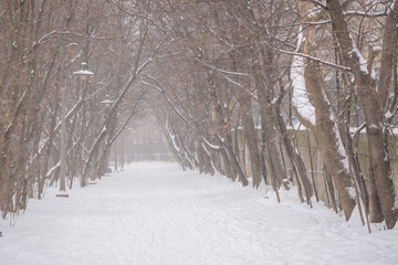 Winter snow storm in Toronto in February