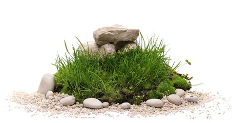 Green grass and moss with sand and decorative stone, rock isolated on white background