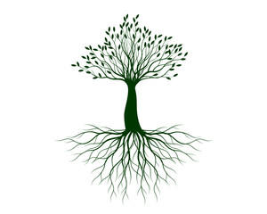Green tree with leaves and roots. Vector Illustration. Plant in garden.