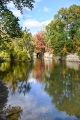 Colorful Autumn Leaves