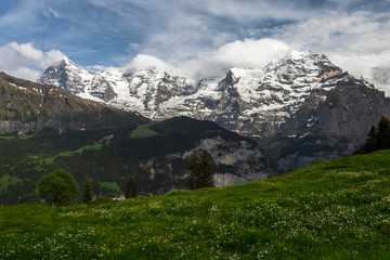 Fototapeta na wymiar Swiss Alps7