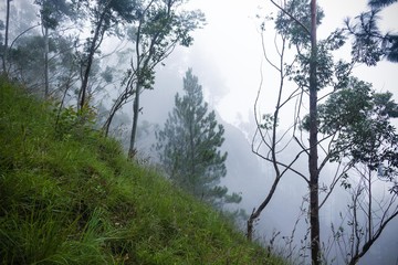 Obraz na płótnie Canvas View of mist inside a mountain jungle
