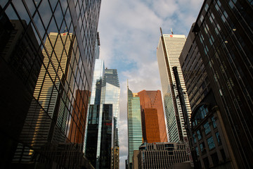Naklejka premium skyscrapers in toronto