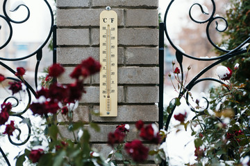 Garden thermometer showing zero celsius.