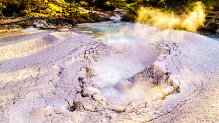 Bubbling Mud in the Artist's Paint Pot Geysers in Yellowstone National Park in Wyoming, United States of America