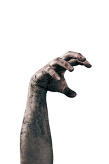 Zombie hand dirty with soil isolated on white background © Jakub Krechowicz