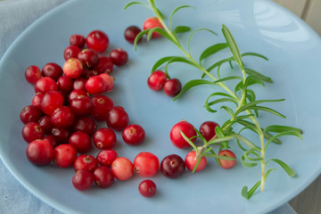 Natural organic cranberry berries in bright red color on blue plate.