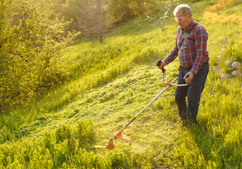 mowing trimmer - worker cutting grass in green yard at sunset.