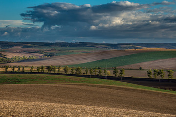 Fototapeta na wymiar Agricultural landscape panorama