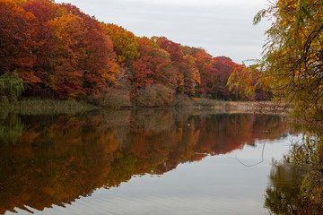 Fototapeta premium autumn landscape with lake and trees