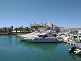Fototapeta premium Eilat - famous tourist resort and recreational city in Israel