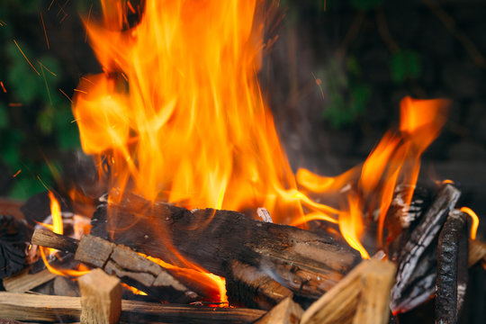 Frewood burning flames on iron grill with green grass on background