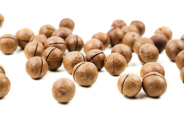 Fototapeta premium Raw not peeled whole macadamia nuts isolated on white