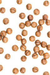 Raw not peeled whole macadamia nuts isolated on white