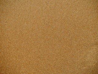 Fototapeta na wymiar Top view photo of a fragment of a sand beach with wet surface. Bright horizontal sand texture background.