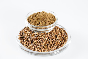 Coriander Isolated in white.