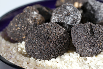 Black Truffles in rice.