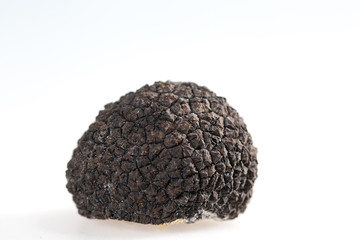 Black truffles isolated on a white background.