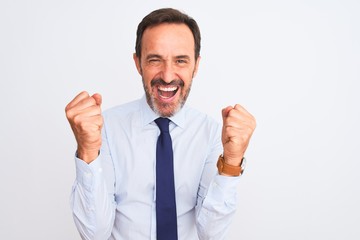 Middle age businessman wearing elegant tie standing over isolated white background celebrating surprised and amazed for success with arms raised and open eyes. Winner concept.