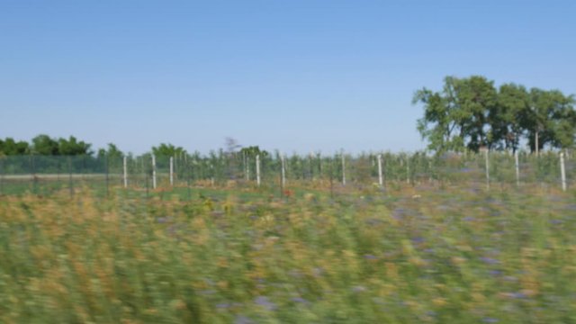 ide view of car trees and fields in motion with blur for background