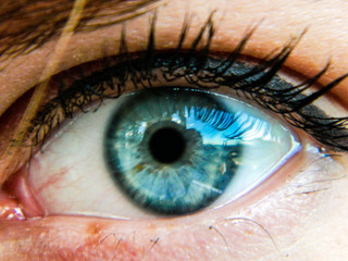 Eye