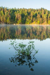 Fog on mirror clear lake at sunrise