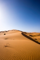 Fototapeta na wymiar Dunes of Morocco