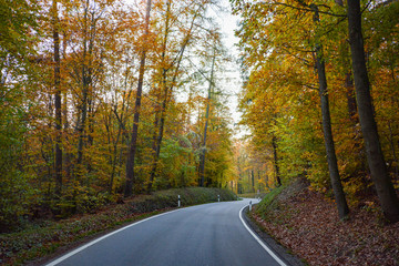 Obraz premium Autumn Street in the forest near Erlligheim, South of Germany