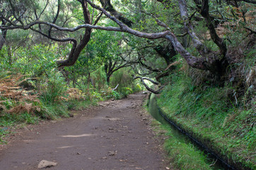 Fototapeta premium Irrigation canal levada