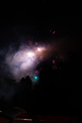 Buntes Feuerwerk - Colorful Firework 