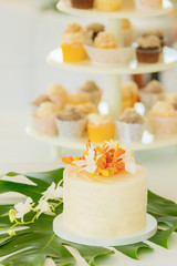 Obraz na płótnie Canvas wedding cake and cupcakes in background