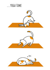 Funny cat doing yoga position, asana, zen with kitty. morning exercise