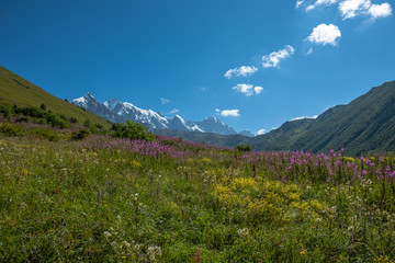 Fototapeta premium Adishi Glacier in Caucasus Mountain - popular trek in Svaneti, Georgia. 
