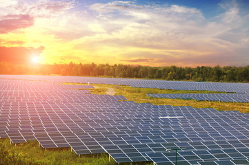 Field with solar panels with forest against sky with a sky with a sunset - 303212642