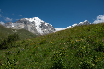 Adishi Glacier in Caucasus Mountain - popular trek in Svaneti, Georgia. 